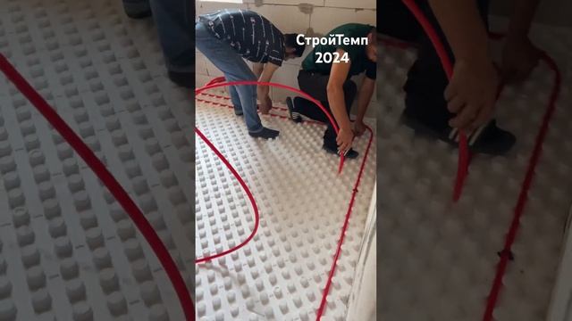 26 августа 2024 г.
