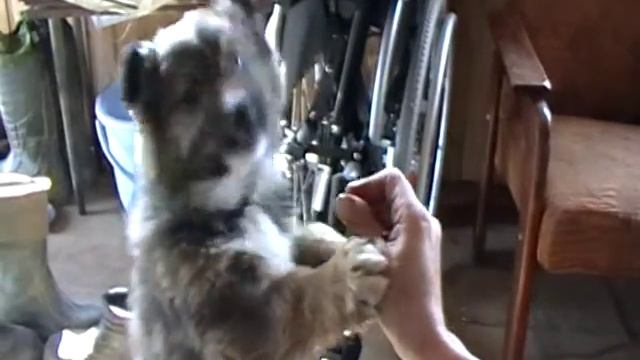 Сластёна смотреть онлайн