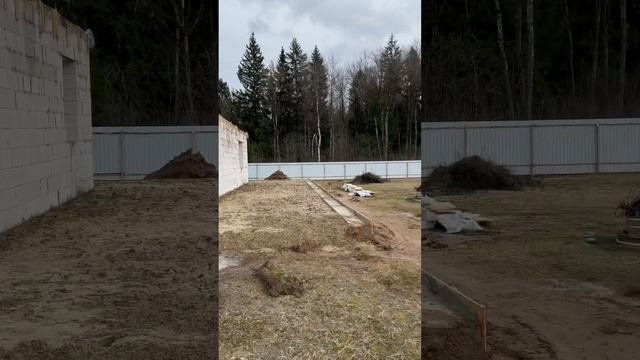 17 апреля 2024 г.