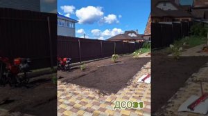 Посев газона. (Видео инструкция) Норма семян на 1 кв.метр.