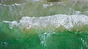 Лечебная музыка для сердца и сосудов! Три месяца я слушала только эту музыку🌿 музыка для души #swan