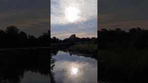 ДОХОД НА ФАСОЛИ С 1 ГЕКТАРА ОРГАНИКА