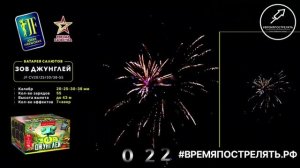 Батарея салютов "Зов джунглей" JF CV20.25.30.38-55