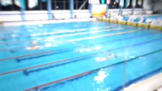 100ВольныйМиша смотреть онлайн