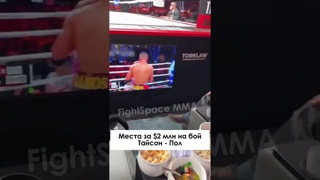 VIP Места за 2 миллиона долларов на бой Майк Тайсон - Джейк Пол | FightSpaceMMA