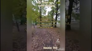 Ай, кыска шул, кыска гомерләр