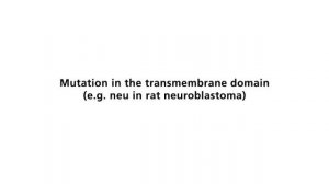 Oncogenic activation receptor tyrosine kinases