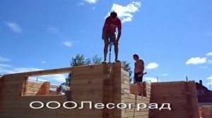 Выравнивание и осаживание стен брусового дома