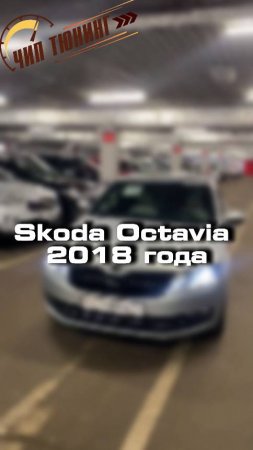 Купили бы себе такую Skoda Octavia?