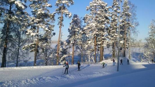 Лыжные тренировки в УТЦ Кавголово. Зима 2023 смотреть онлайн
