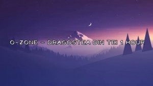 O Zone - Dragostea Din Tei 1 HOUR
