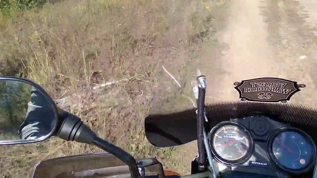 На боксере, по лесу. смотреть онлайн