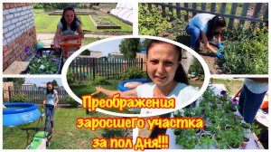 ЧТО ДЕЛАТЬ С ЗАРОСШЕЙ ДАЧЕЙ?ЗАРОСШИЙ УЧАСТК/КАК ИЗБАВИТСЯ ОТ СОРНЯКОВ?