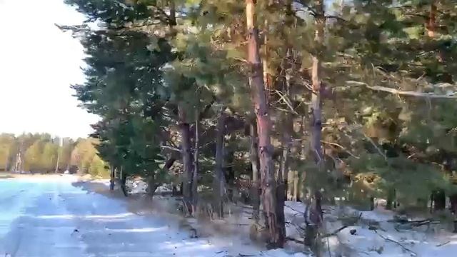 Отзыв о новом коттеджном поселке Сосновый бор смотреть онлайн