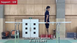 Обучение кругам на коне