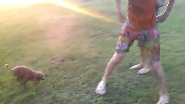 Отключили воду#2 смотреть онлайн