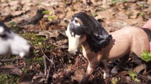 Типичный шляйх сериал на 2020-2024г. (Ведьма).