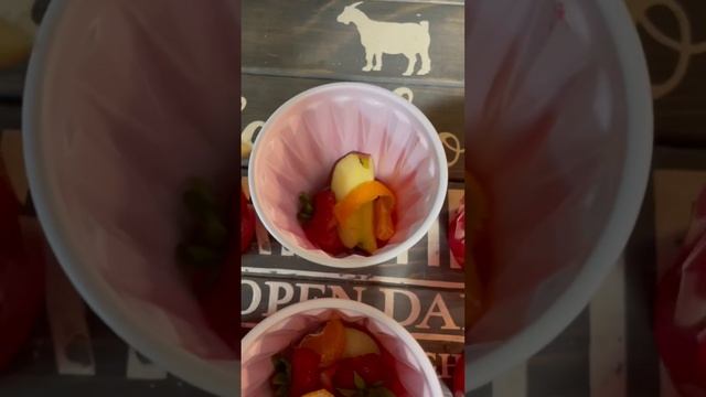 Pony popsicles! ❤️ | #equestrian #horsetraining #reining #goviral #fypシ #horses #viral смотреть онлайн