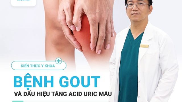 🎯 DẤU HIỆU TĂNG ACID URIC MÁU VÀ BỆNH GOUT смотреть онлайн