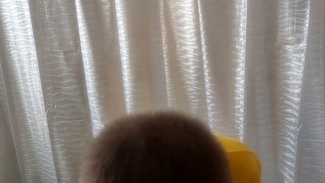 забрив с Yaqi CobbledLadasOmegaMajixКокос.