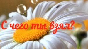 С ЧЕГО ТЫ ВЗЯЛ...сл. Е. Елохова, муз. С. Лабутин, вокал. Л. Великанова, звук. А. Макалиш