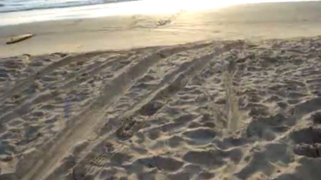 Benaulim beach near Malibu sheck