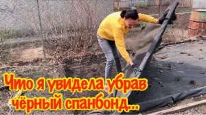 ЧТО Я УВИДЕЛА УБРАВ ЧЁРНЫЙ СПАНБОНД С ГРЯДКИ…/ТАКОГО Я НЕ ОЖИДАЛА УВИДЕТЬ/ВРЕДЕН ЛИ ЧЁРНЫЙ СПАНБОНД