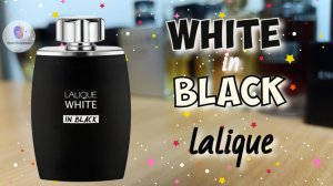 LALIQUE ⚫WHITE IN BLACK⚪ (2021) - классный мужской свеже-пряный парфюм на осень/зиму - мастхэв!