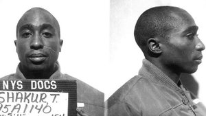 Bitch Please II - 2 Pac, Outlawz, Eminem, 50 Cent
