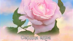 13. Роза Света (Песня 468)