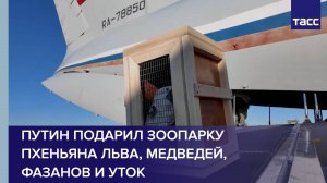 Путин подарил зоопарку Пхеньяна льва, медведей, фазанов и уток