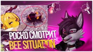 🐺 Роско смотрит Mox ಠ ᴥ ಠ - Bee situation is crazy