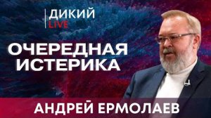 По скользким ступеням… Андрей Ермолаев.