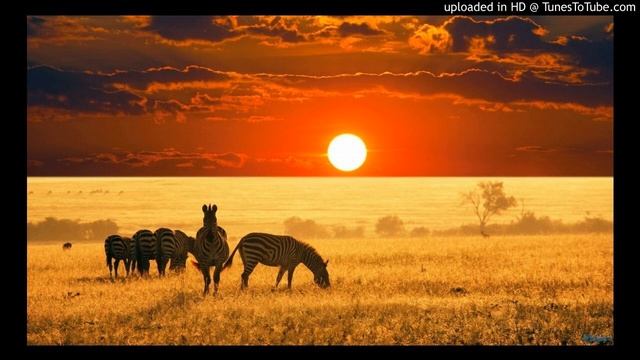 Carpotxa & SkyWhite - Fim do tempo смотреть онлайн