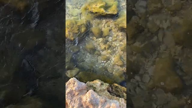 Прозрачное море, маленькие волны плещутся о камни на береге #sea #nature #waves