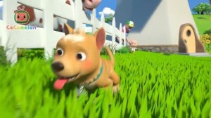 Собака Бинго на Ферме🐕
