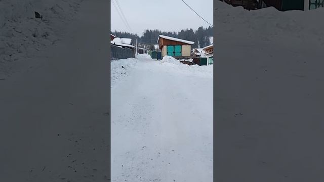 ПОШЁЛ ЗА ВОДОЙ. | ПЯТНИЦА. | ⟨09.02.2024⟩ | 12:20