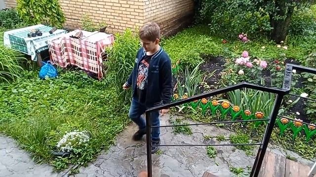 прискас против врискаса премьера клипа (2023)