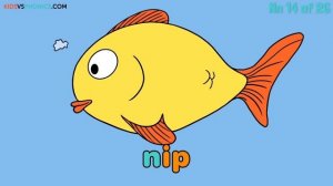 Alphabet Phonics | Level Reading | Phonics Song |  How to Read |  Made by Red Cat Reading