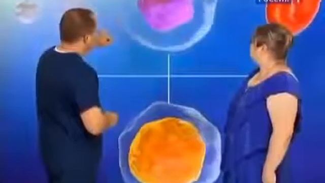 Хитозан для человека, О самом главном смотреть онлайн