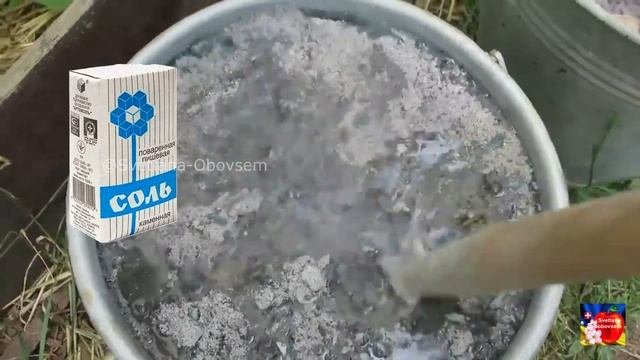 СРОЧНО -  ФИНАЛЬНОЕ УДОБРЕНИЕ ТОМАТОВ В АВГУСТЕ.БУДУТ МЯСИСТЫЕ И СЛАДКИЕ.СЕКРЕТ САХАРИСТОСТИ ПОМИДО