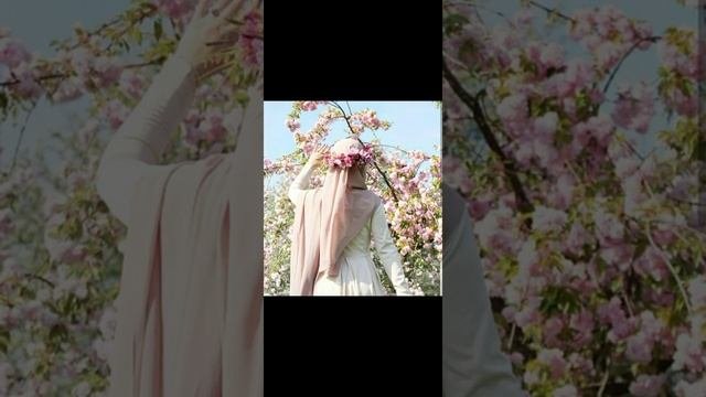 Amr Diab :Osad Einy #amrdiab #osadeiny
