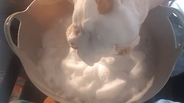 ASMR 🧺 WIZZ Antibac Laundry Cleanser 🧺 on 2 Grout Sponges 🧽 Satisfying Sponge Squeezing🧽 w 💦