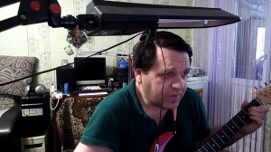 Red Hot Chili Peppers - Otherside кавер
