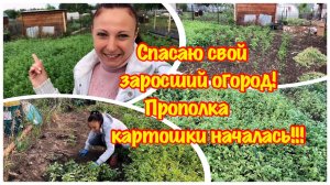 ОТПУСК НА ДАЧЕ/ПРОПОЛКА ОГОРОДА/ОДНА В РУЧНУЮ ПОЛЮ КАРТОШКУ/ВОТ ТАКАЯ ДАЧНАЯ ЖИЗНЬ