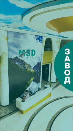 Завод MSD Китай