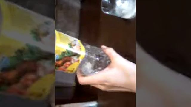 Что будет если смишать соду с суксусам смотреть онлайн