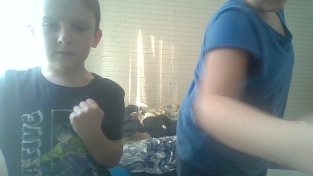 смешные видео