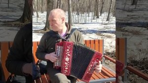 Гармонь. Досада. Играет В Толстов. 30.03.24 г.