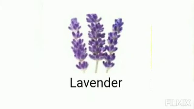 Phantom - Paco Rabanne Fragrance notes смотреть онлайн